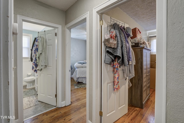 1321 Pineola Ave, Kingsport, TN 37664 - hallway featuring hardwood / wood-style flooring, a textured ceiling, and a textured wall