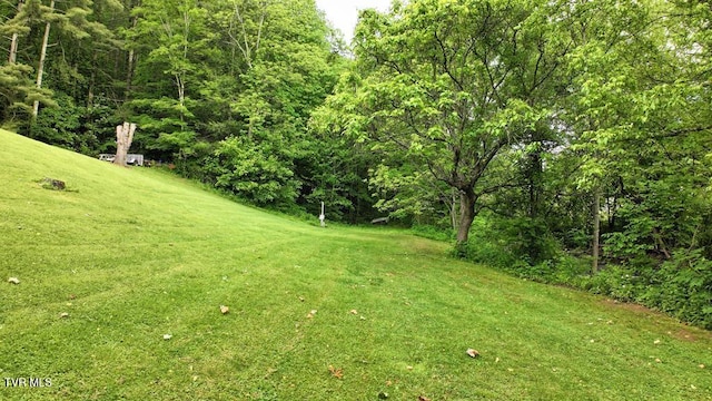 TBD Carl Vance Dr, Swords Creek, VA 24649