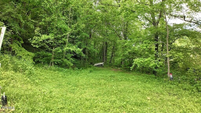 TBD Carl Vance Dr, Swords Creek, VA 24649