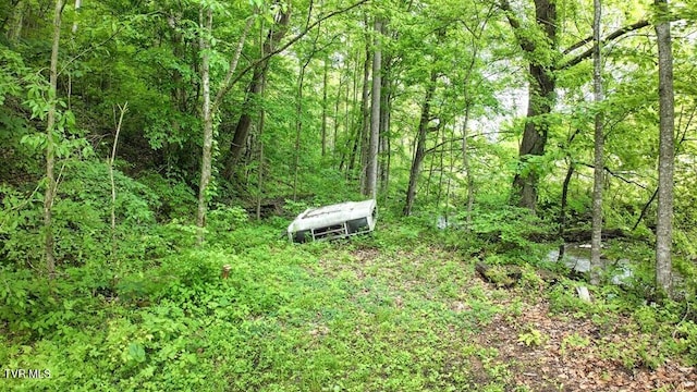 TBD Carl Vance Dr, Swords Creek, VA 24649