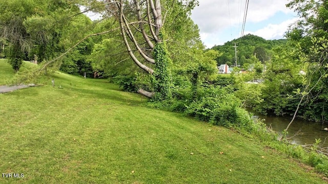TBD Carl Vance Dr, Swords Creek, VA 24649