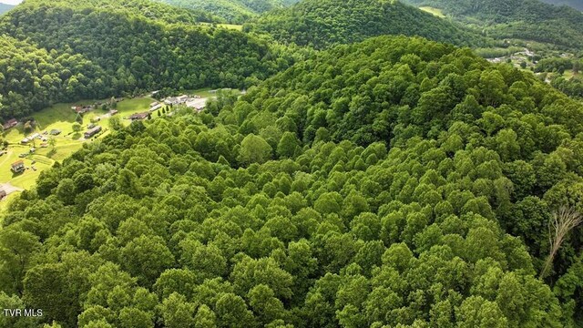 TBD Carl Vance Dr, Swords Creek, VA 24649