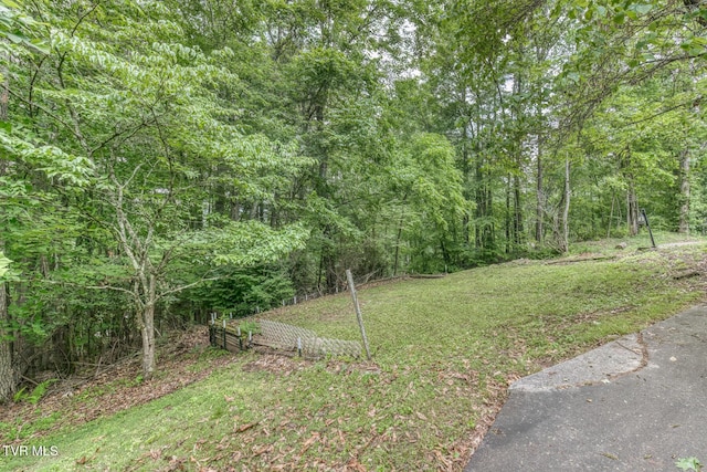 390 E Hillcrest Dr, Mountain City, TN 37683 - photo 44