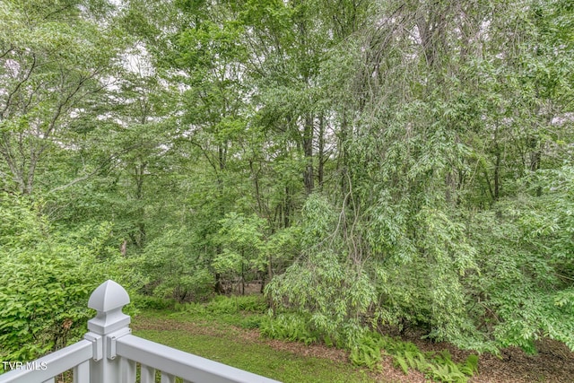 390 E Hillcrest Dr, Mountain City, TN 37683 - photo 45