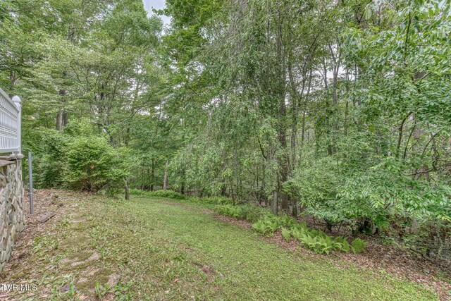 390 E Hillcrest Dr, Mountain City, TN 37683 - photo 46