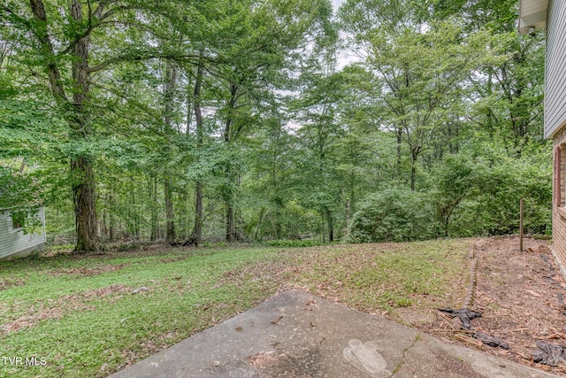390 E Hillcrest Dr, Mountain City, TN 37683 - photo 49