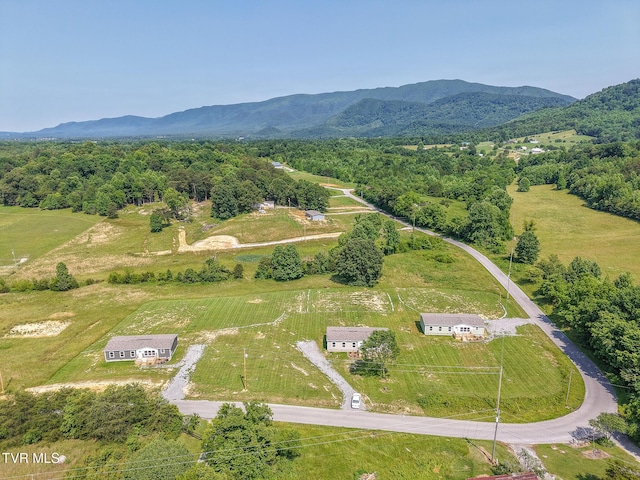 385 Piney Grove Rd, Greeneville, TN 37743 - view of rural area with a mountain backdrop