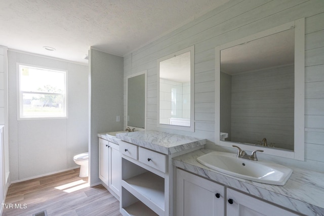 385 Piney Grove Rd, Greeneville, TN 37743 - full bathroom with double vanity, toilet, a textured ceiling, and wood finished floors