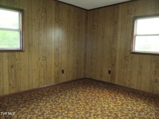 19374 Benhams Rd, Bristol, VA 24202 - spare room with wooden walls