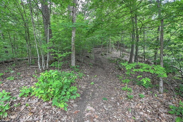 669 Big Hollow Rd, Blountville, TN 37617 - photo 43