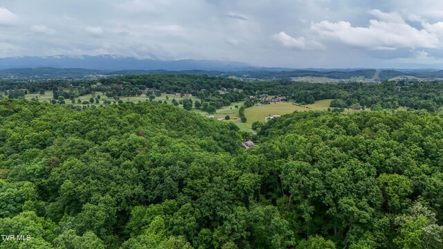 669 Big Hollow Rd, Blountville, TN 37617 - photo 65