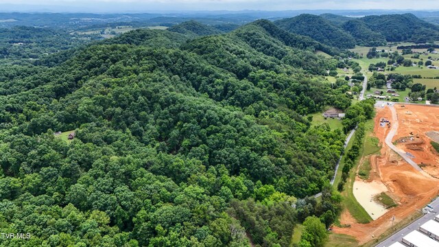 669 Big Hollow Rd, Blountville, TN 37617 - photo 70