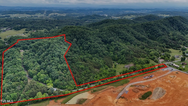 669 Big Hollow Rd, Blountville, TN 37617 - photo 3