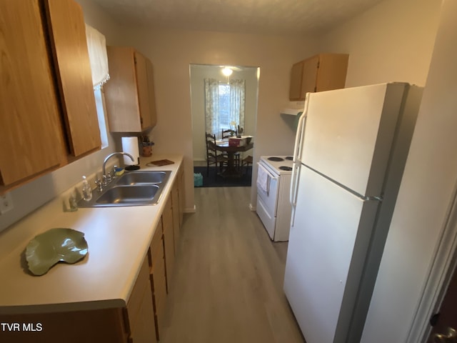 202 Locust St, Greeneville, TN 37745 - kitchen with white appliances, a sink, light wood-style flooring, light countertops, and ventilation hood