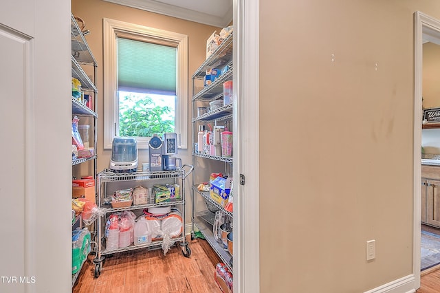 133 Christopher Way, Blountville, TN 37617 - view of storage area