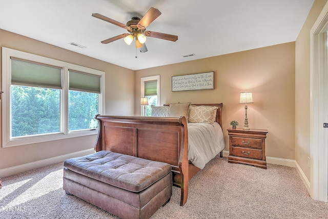 133 Christopher Way, Blountville, TN 37617 - bedroom featuring baseboards, light colored carpet, and a ceiling fan