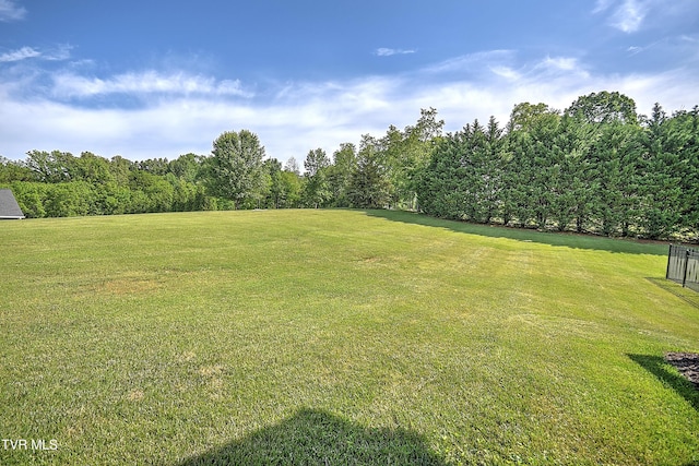 133 Christopher Way, Blountville, TN 37617 - view of green lawn