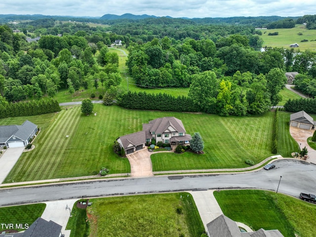 133 Christopher Way, Blountville, TN 37617 - aerial view of sparsely populated area