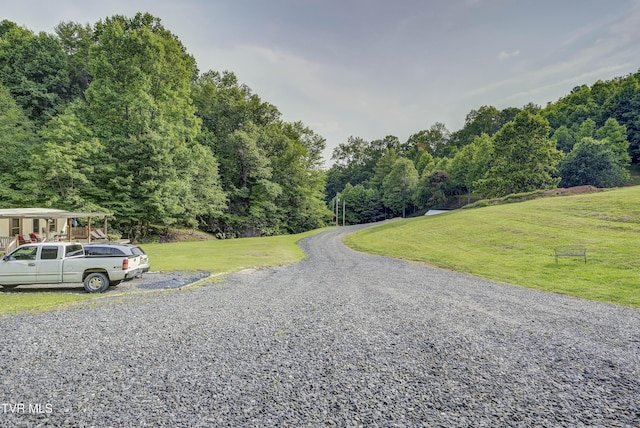 111 Jd Whitehead Rd, Roan Mountain, TN 37687 - view of dirt / gravel road with a view of trees