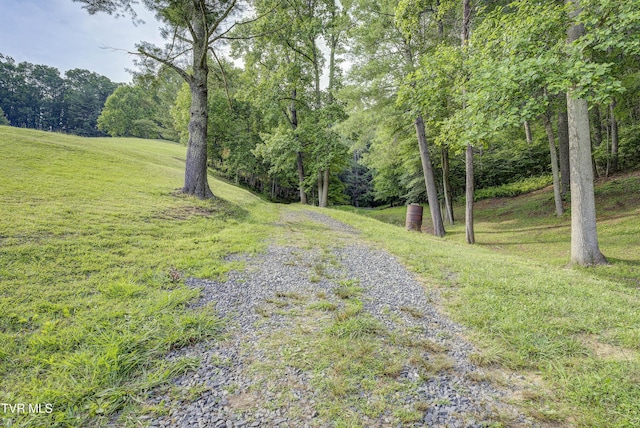 111 Jd Whitehead Rd, Roan Mountain, TN 37687 - view of street with a forest view
