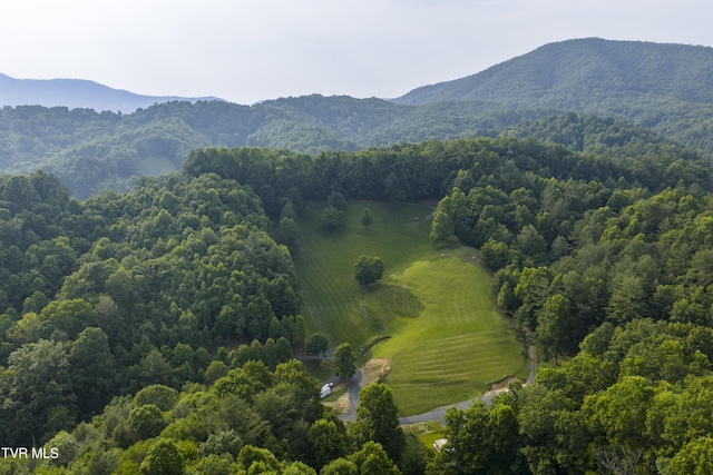 111 Jd Whitehead Rd, Roan Mountain, TN 37687 - view of mountain backdrop featuring a heavily wooded area