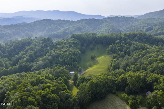 111 Jd Whitehead Rd, Roan Mountain, TN 37687 - mountain view featuring a heavily wooded area