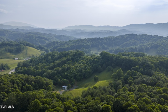 111 Jd Whitehead Rd, Roan Mountain, TN 37687 - view of mountain backdrop with a forest