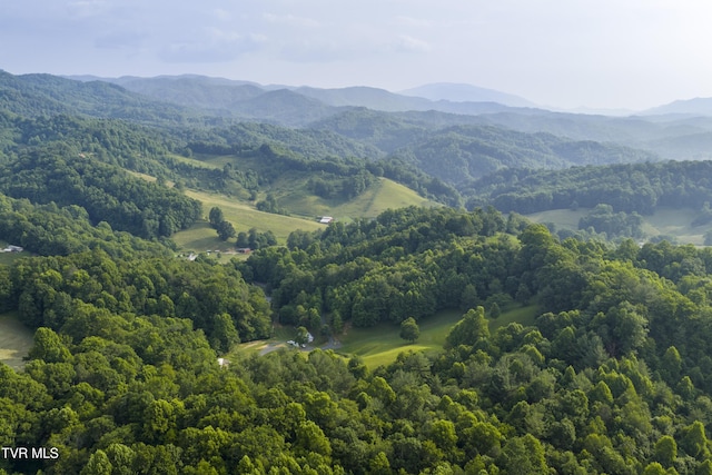 111 Jd Whitehead Rd, Roan Mountain, TN 37687 - view of mountain backdrop with a forest