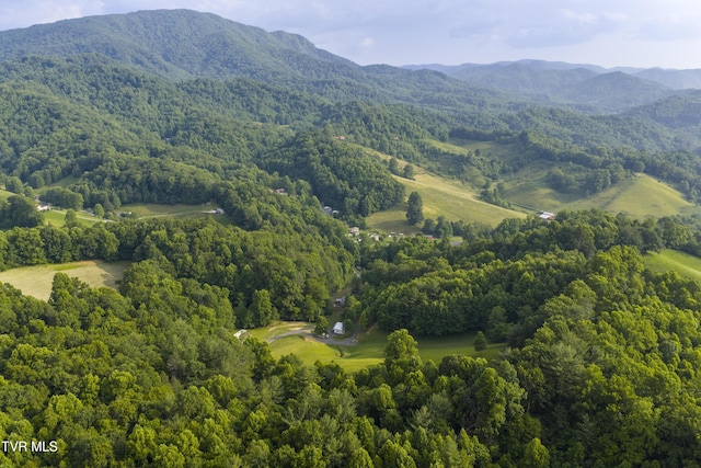 111 Jd Whitehead Rd, Roan Mountain, TN 37687 - view of property location featuring a heavily wooded area and mountains