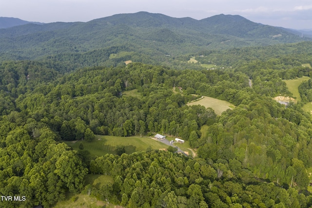 111 Jd Whitehead Rd, Roan Mountain, TN 37687 - aerial overview of property's location with mountains