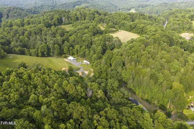 111 Jd Whitehead Rd, Roan Mountain, TN 37687 - aerial view of property and surrounding area with a forest