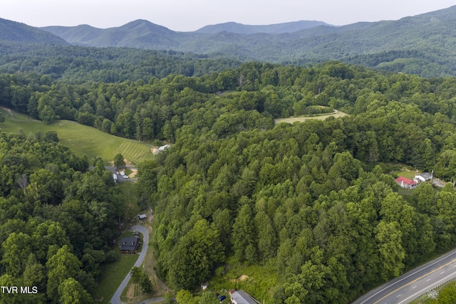 111 Jd Whitehead Rd, Roan Mountain, TN 37687 - aerial overview of property's location with mountains