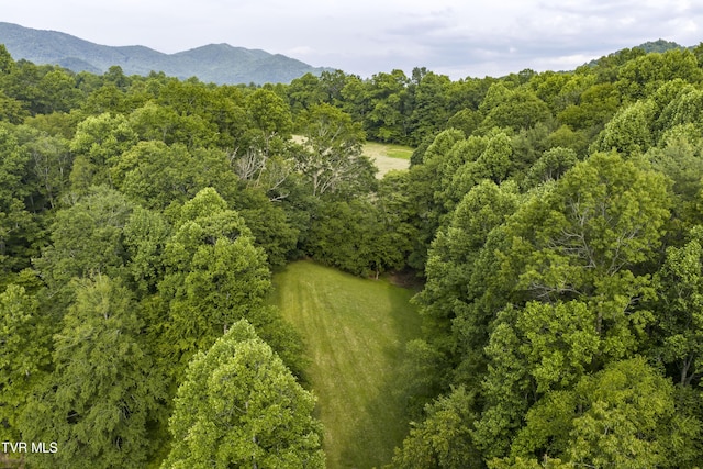 111 Jd Whitehead Rd, Roan Mountain, TN 37687 - aerial overview of property's location featuring a heavily wooded area and a mountainous background