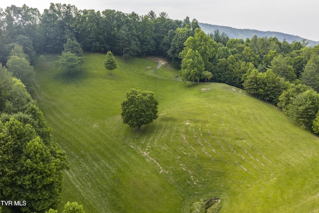111 Jd Whitehead Rd, Roan Mountain, TN 37687 - bird's eye view of mountains