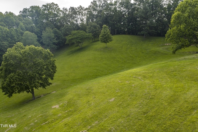 111 Jd Whitehead Rd, Roan Mountain, TN 37687 - view of green lawn
