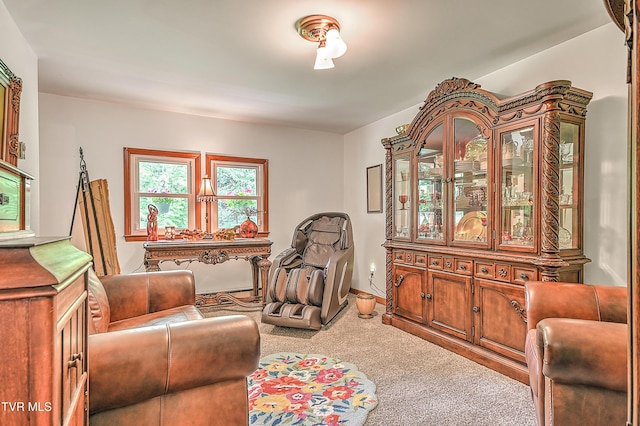 24483 Cave Creek Rd, Abingdon, VA 24211 - sitting room with carpet floors