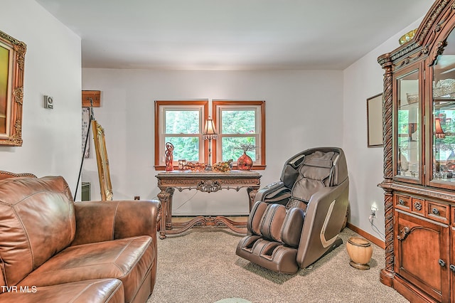 24483 Cave Creek Rd, Abingdon, VA 24211 - sitting room with carpet flooring and baseboards