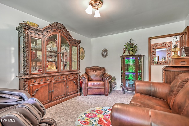 24483 Cave Creek Rd, Abingdon, VA 24211 - living area featuring carpet floors