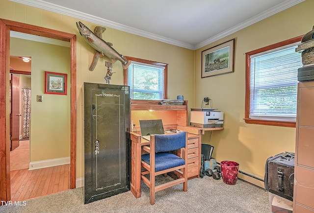 24483 Cave Creek Rd, Abingdon, VA 24211 - office with ornamental molding, baseboard heating, baseboards, and carpet