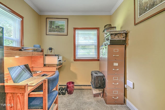 24483 Cave Creek Rd, Abingdon, VA 24211 - office area featuring carpet, plenty of natural light, baseboards, crown molding, and a baseboard radiator