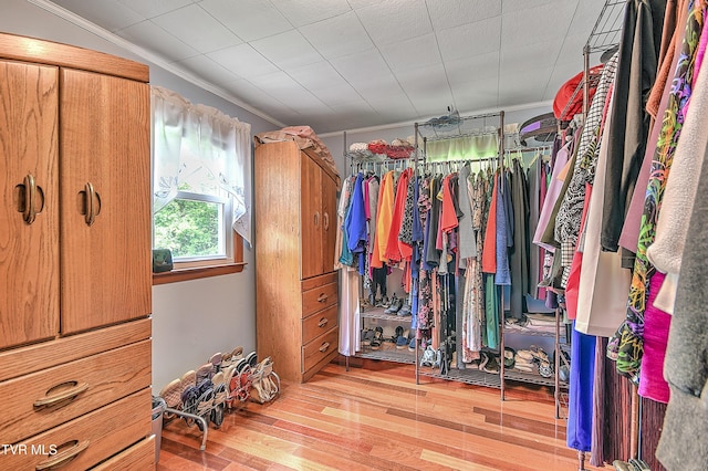 24483 Cave Creek Rd, Abingdon, VA 24211 - walk in closet with wood finished floors