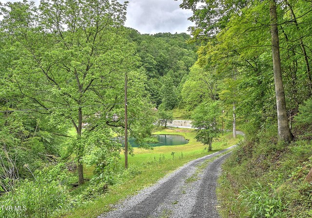 24483 Cave Creek Rd, Abingdon, VA 24211 - view of dirt / gravel road featuring a wooded view