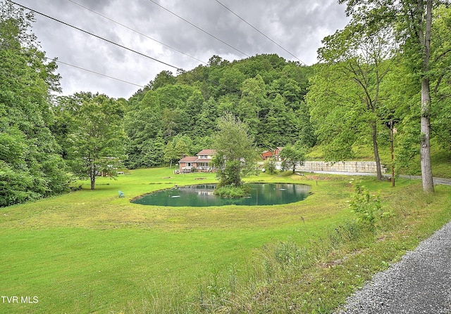 24483 Cave Creek Rd, Abingdon, VA 24211 - view of community featuring a water view, a wooded view, and a lawn