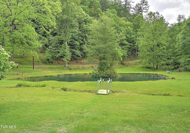 24483 Cave Creek Rd, Abingdon, VA 24211 - view of property's community featuring a lawn, a water view, and a wooded view