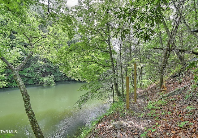 24483 Cave Creek Rd, Abingdon, VA 24211 - water view featuring a forest