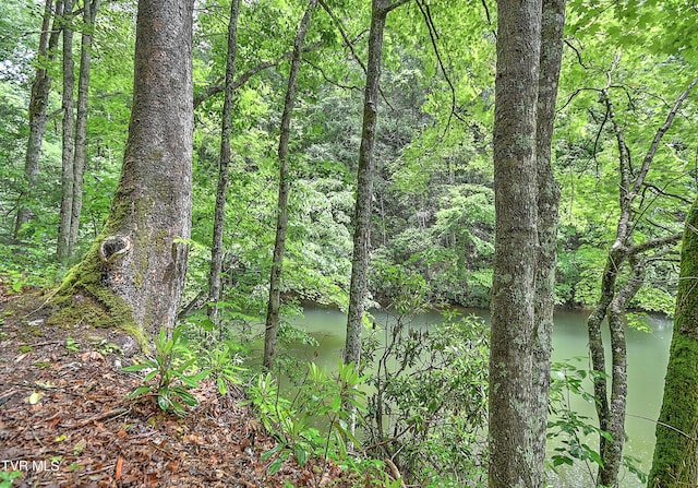24483 Cave Creek Rd, Abingdon, VA 24211 - water view with a forest