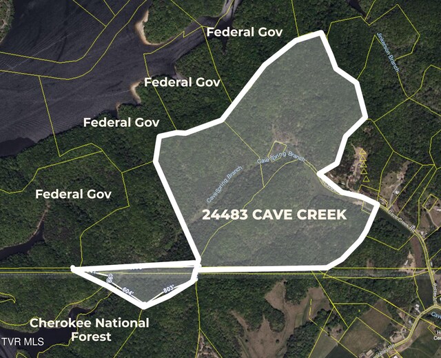 24483 Cave Creek Rd, Abingdon, VA 24211 - aerial view of property's location featuring property parcel outlined