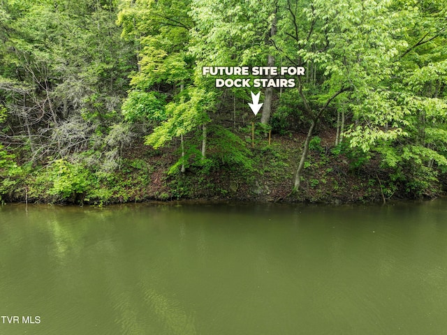 24483 Cave Creek Rd, Abingdon, VA 24211 - water view