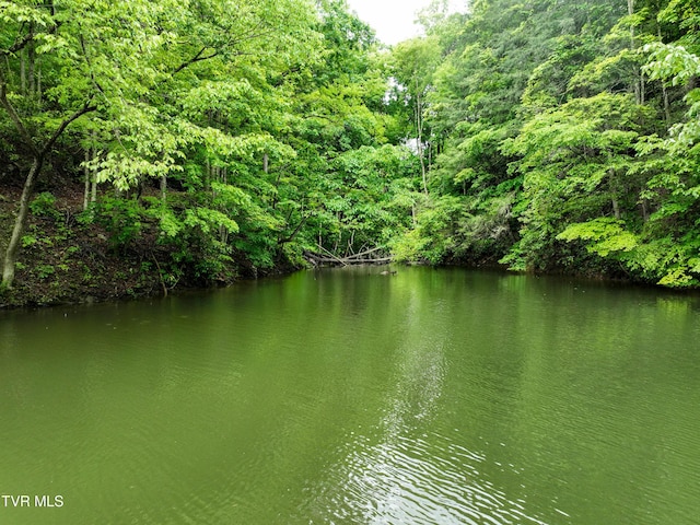 24483 Cave Creek Rd, Abingdon, VA 24211 - water view featuring a forest