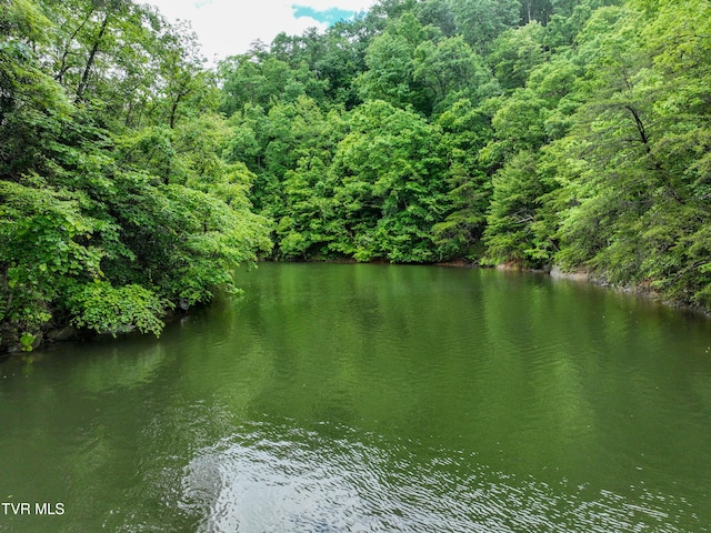 24483 Cave Creek Rd, Abingdon, VA 24211 - water view featuring a forest